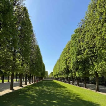 市民の憩いの場所リュクサンブール公園