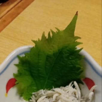 茹でたてシラスを食べました！
