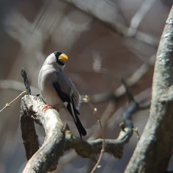 長野で撮りました