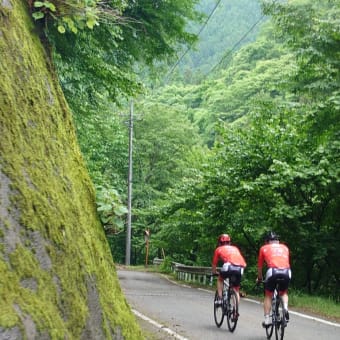 新たなヒルクライムレースを開催することになりそうです。