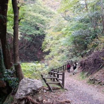 養老の滝