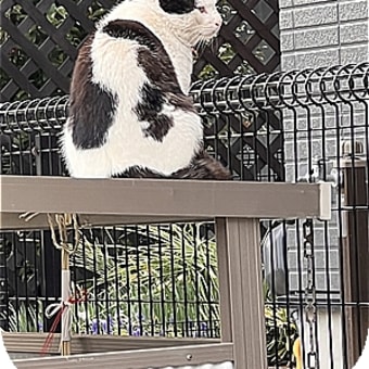 目覚め