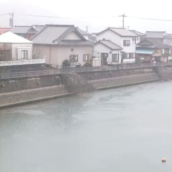 雨・あめ・アメです。。。。。。。