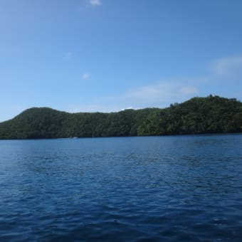 2014年お正月にパラオに行ってきました。