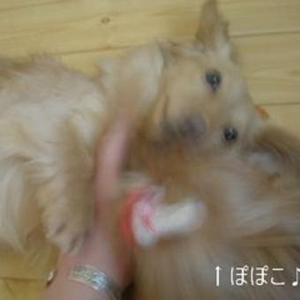 大きなお腹♪