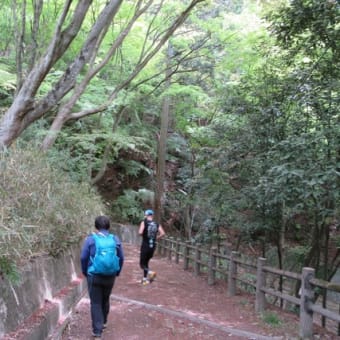 「大師道を歩きました」