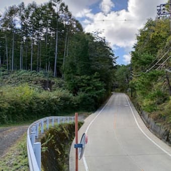 長尾山に行った