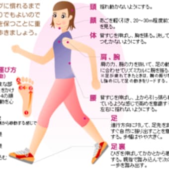 日常生活でできるお腹の脂肪を減らす方法