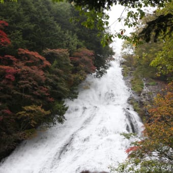 奥日光　湯滝と紅葉