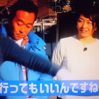 綱引きと玉入れが合体…