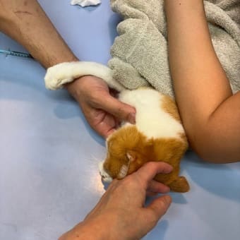 今日のお病院