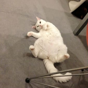 冷える夜。、
