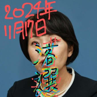 兵庫県知事選挙　稲村和美さん落選その①　11月11日