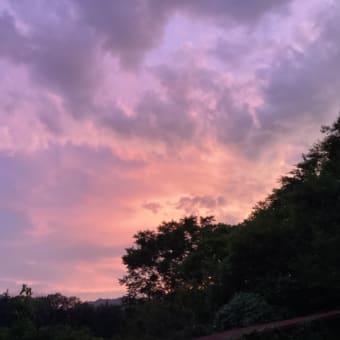 美しい夕暮れ時