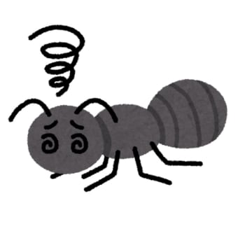 アリ