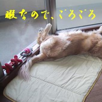 神宮（内宮）