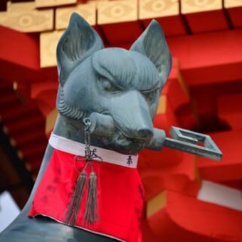 フライフィッシャーの独り言