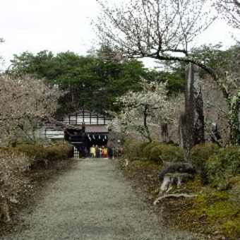 富士山すそのぐるり一周