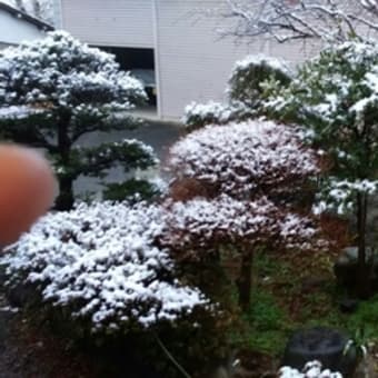 ２回目の雪