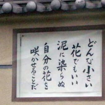 たまには普通の日記も