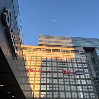 日曜日の新宿駅南口