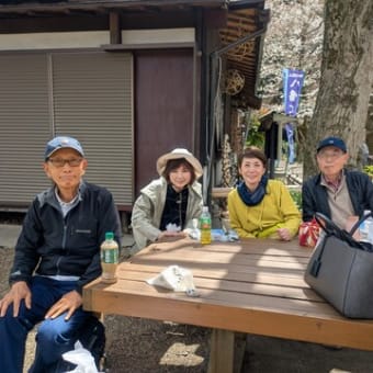 第１回ハイキング2025（石清水八幡宮、背割り堤お花見ハイキング）
