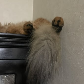 お気に入りの場所で