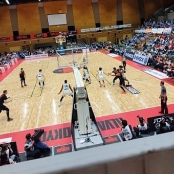 アルバルク東京ホームゲーム、参戦！