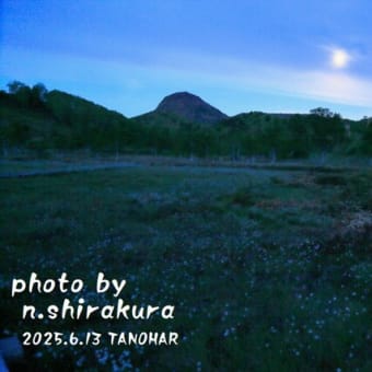 おぼろ月夜