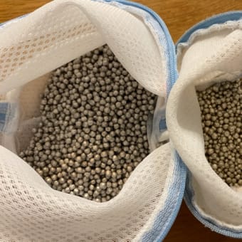 マグネシウム洗濯のこと｜ローリエの木のカイガラムシのこと