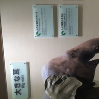 【東山公園】ゾウ好き必見！「ゾージアム」に行ってきました（東山動物園）