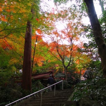 大矢田神社