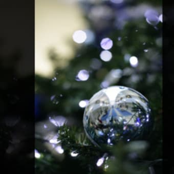 12月のお知らせ