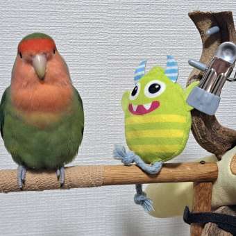 タケの体重