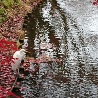 帯広～弘前の写真