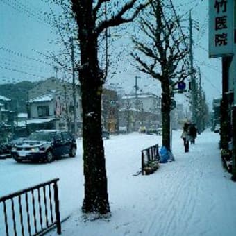 この冬２回目の京都の雪
