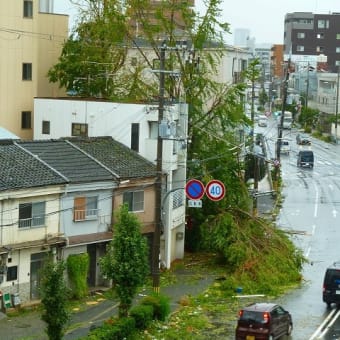 第三室戸台風被害甚大