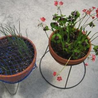 まだまだ寂しいけど。