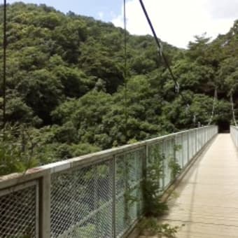 六甲山へハイキングに行ってきました。