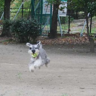 アナ、久々に走る！