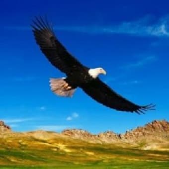 Youth Is Renewed Like the Eagle’s: Thoughts on “Born Again”