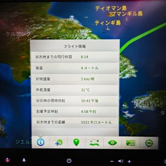 4歳娘とシンガポール旅行⑥　高島屋からの帰国