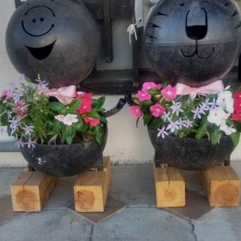 ブタとトラ