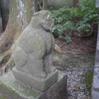 狛犬さん・・・仙台八坂神社の巻