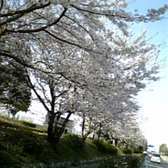 643th VIBES☆公園。
