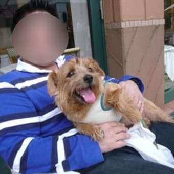 犬三昧♪
