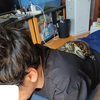 一難さってまた.....