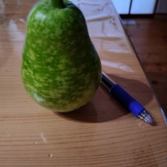 あ～あ😰