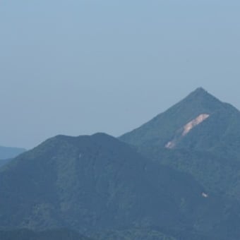 まだまだ蕾が多いですが…　学能堂山　2024