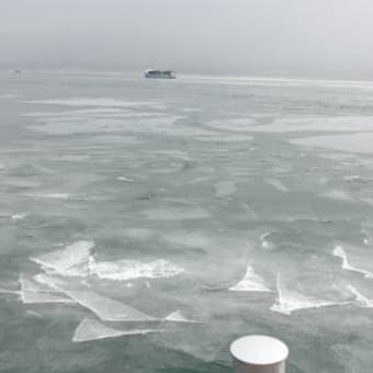 山中湖ワカサギ釣り